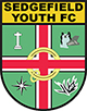 Sedgefield Youth Football Club
